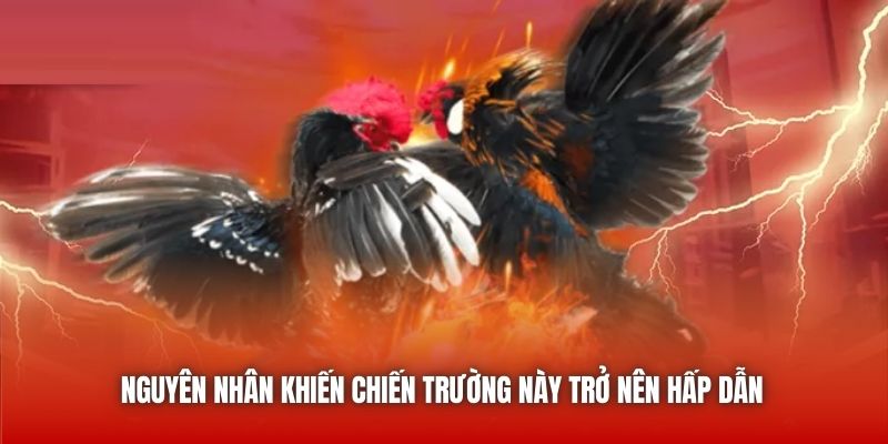 Nguyên nhân khiến chiến trường này trở nên hấp dẫn
