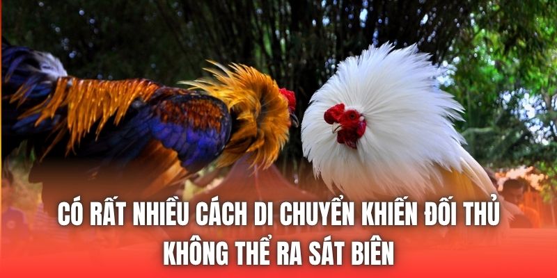 Có rất nhiều cách di chuyển khiến đối thủ không thể ra sát biên