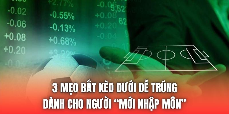3 mẹo bắt kèo dưới dễ trúng dành cho người “mới nhập môn”